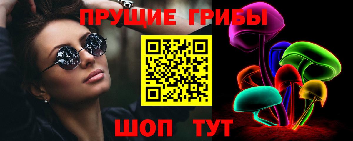 Псилоцибиновые грибы мицелий  Псилоцибиновые грибы Psilocybine cubensis  Балаково  Вход с VPN 